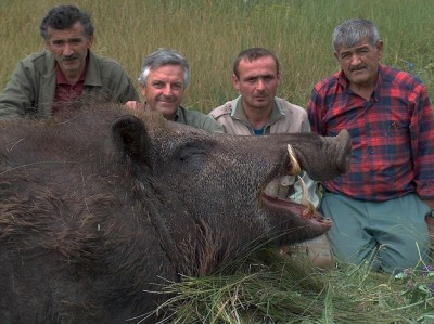 cochon 0.jpg (158.51 KiB) Zobrazeno 6642 x cochon 0.jpg