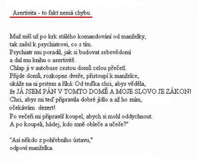 Asertivita.jpg