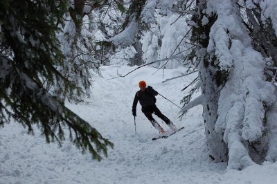 DSC_0078.JPG
