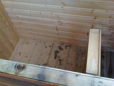 IMG00362-20120508-1640.jpg