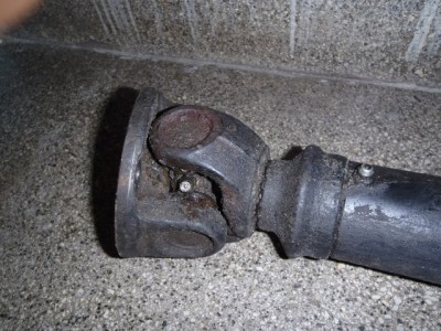 P5150461~1.jpg