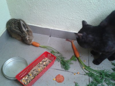 2012-06-13 17.39.15.jpg