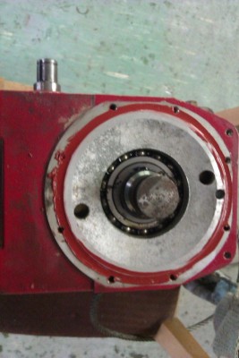 IMAG0145.jpg
