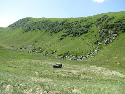 19.JPG