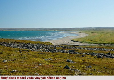 MG_8705.jpg