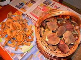 DSCN4190.JPG