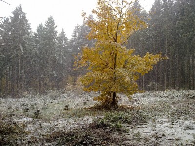 27.10.12_01.jpg