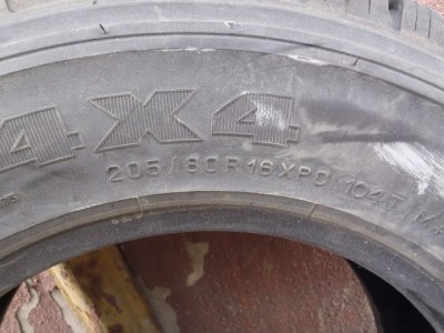 P5020001.jpg
