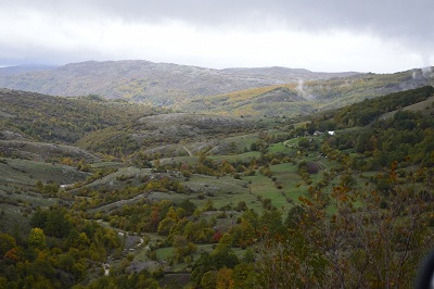 pan3.jpg