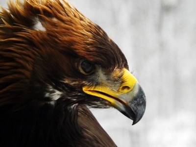 DSCF2884.JPG (214.44 KiB) Zobrazeno 5770 x DSCF2884.JPG