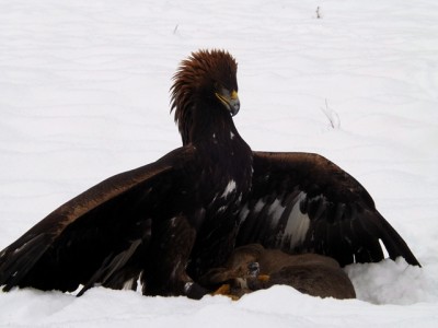 DSCF2881.JPG (182.84 KiB) Zobrazeno 6078 x DSCF2881.JPG