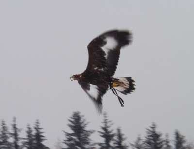 DSCF2855.JPG (147.51 KiB) Zobrazeno 5773 x DSCF2855.JPG