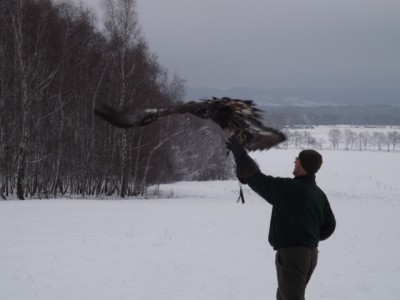 DSCF2866.JPG (196.41 KiB) Zobrazeno 6078 x DSCF2866.JPG