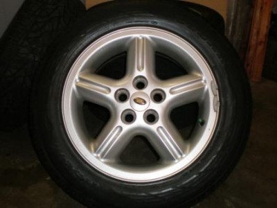 PB170073.JPG