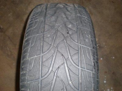 PB170075.JPG