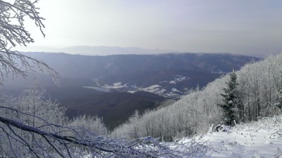 IMAG0072.jpg
