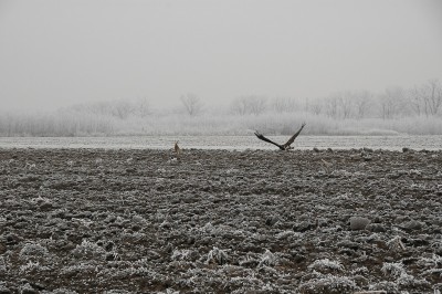 DSC_5087.jpg