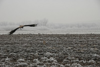 DSC_5082.jpg