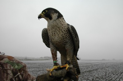 DSC_5066.jpg