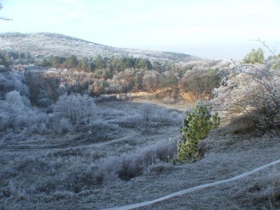 DSCF8398.JPG