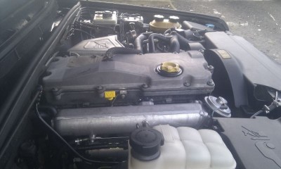 IMG_20121224_115803.jpg