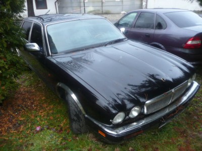 Jaguar Nový Bor 005.JPG