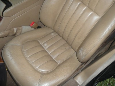 Jaguar Nový Bor 027.JPG
