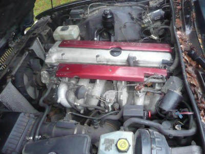 Jaguar Nový Bor 019.JPG