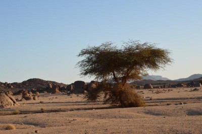 DSC_0097.jpg