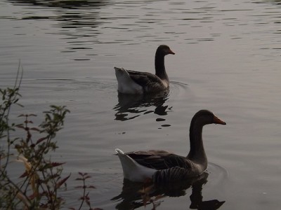 DSCF2614.JPG