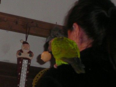 bertík 026.JPG