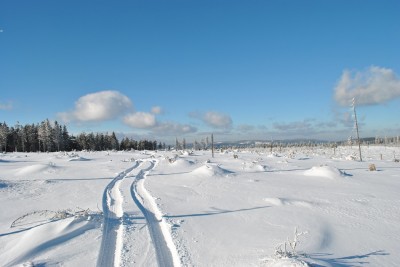 DSC_0316.JPG