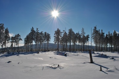 DSC_0308.JPG