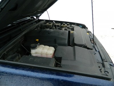 DSCN3495.jpg