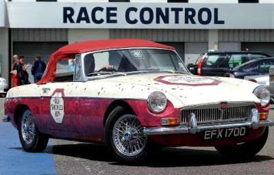 MG old speckled henLD.jpg