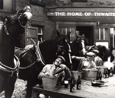 Thwaites_horses_and_buckets_lores.jpg