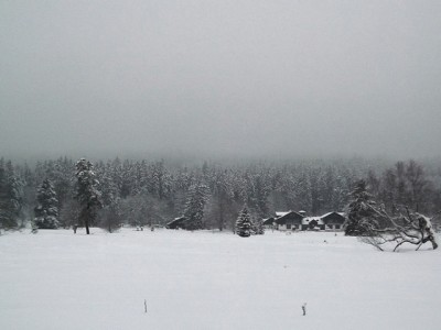 DSCF4582.JPG