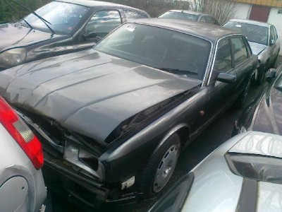 XJR Francie.jpg