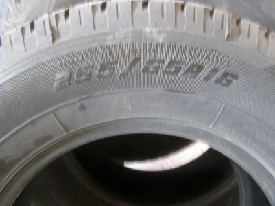 P3120132.JPG