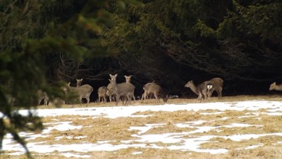 DSCF4802.JPG