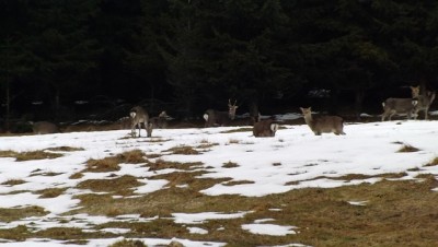 DSCF4810.JPG