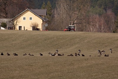 x_MG_0307.jpg