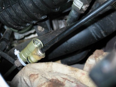 Resize of 359_5952.JPG