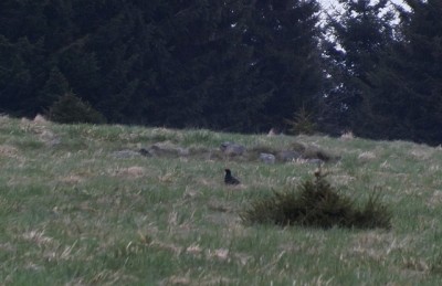 DSCF5479.JPG