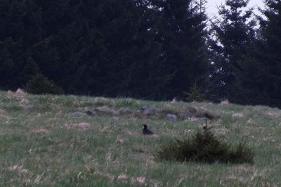 DSCF5480.JPG