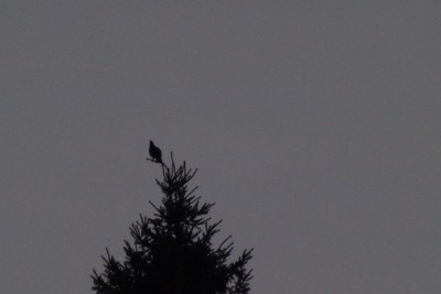 DSCF5482.JPG
