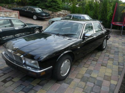 Jaguar XJ40 Insignia 003.JPG