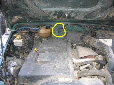 egr001Medium.jpg