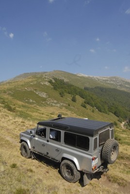 DSC_0478.jpg