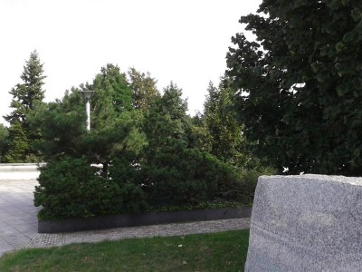 CT.jpg (104.79 KiB) Zobrazeno 2612 x CT.jpg